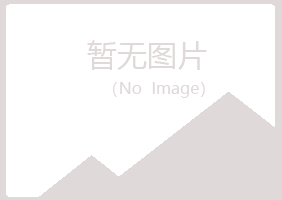 菏泽字迹能源有限公司